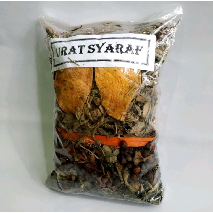 

Jamu godok saraf kejepit jamu godok urat saraf jamu godok sakit encok