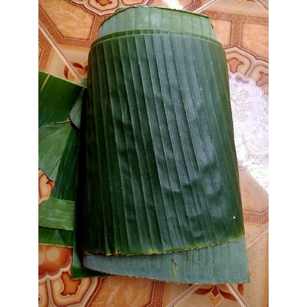 

Daun pisang gepok segar