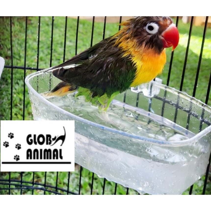 CEPUK MANDI BURUNG wadah bak mandi cepuk oval keramba mini tempat mandi burung