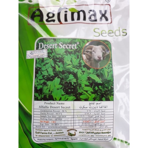 Alfalfa