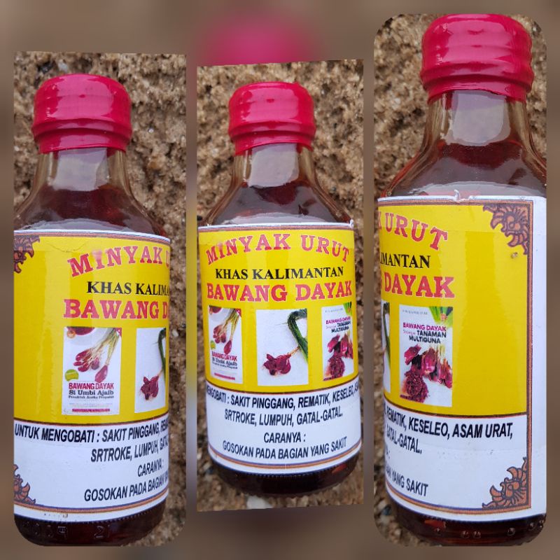Minyak Urut Bawang Dayak - Terlaris - COD