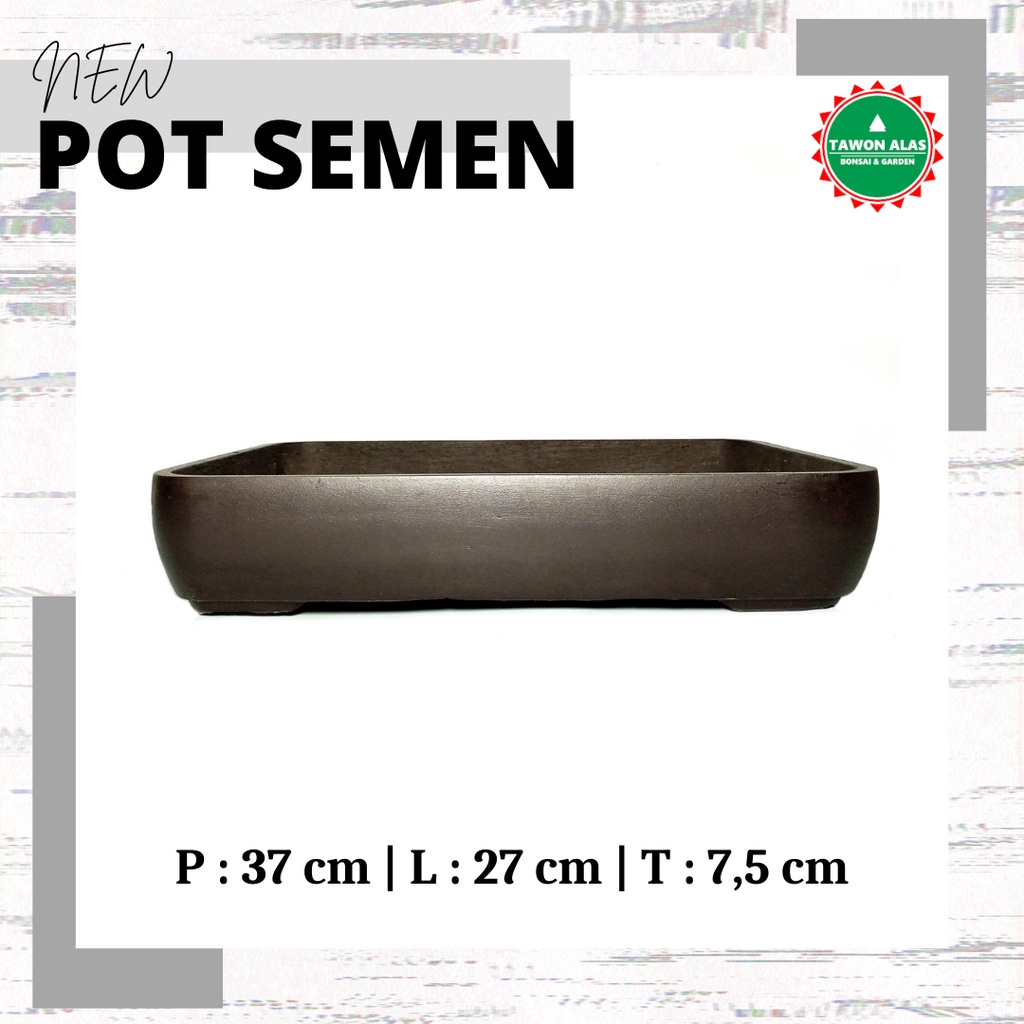 Pot Bonsai Semen Small Medium Bagus