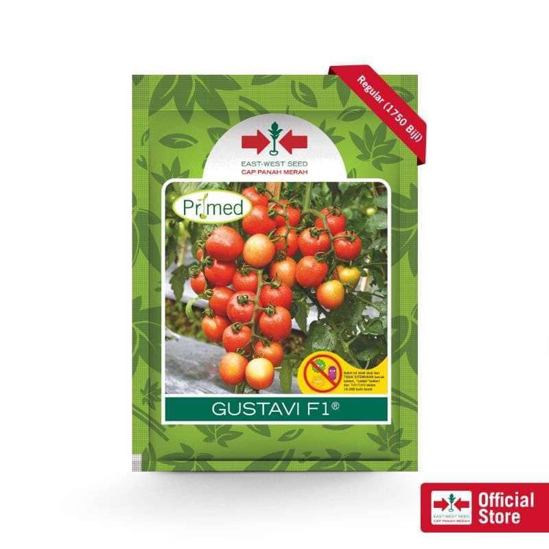 benih tomat gustavi panah merah original