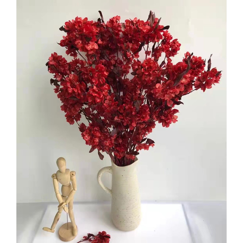 Chinese New Year Preserved Red HopBush Dodonaea  Bunga Imlek  Dekorasi  New Year 2023 Decoration Preserved Flower Bunga Kering Dried Flower Dry Flower  Tahun Baru Imlek