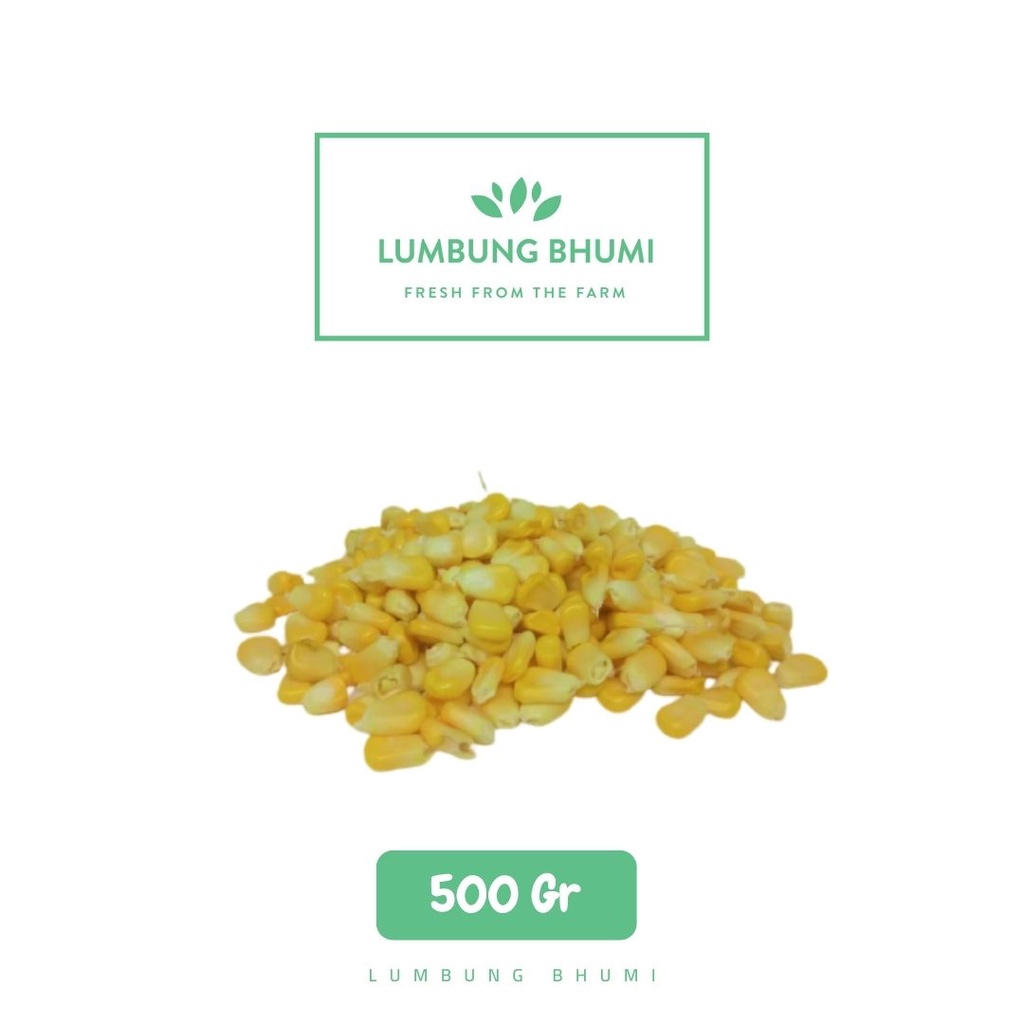 

Lumbung Bhumi - Jagung Manis PIPIL 500 Gr ( Sayur Curah )