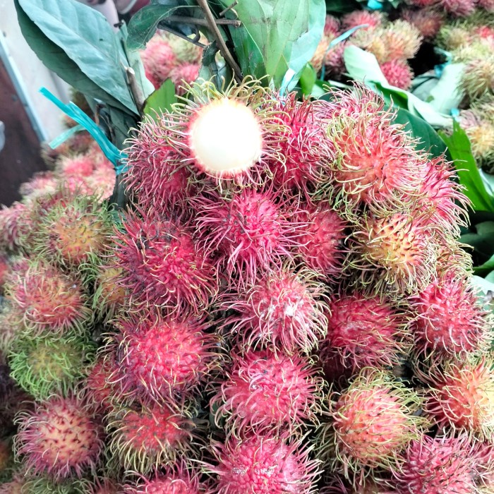 

Buah rambutan segar