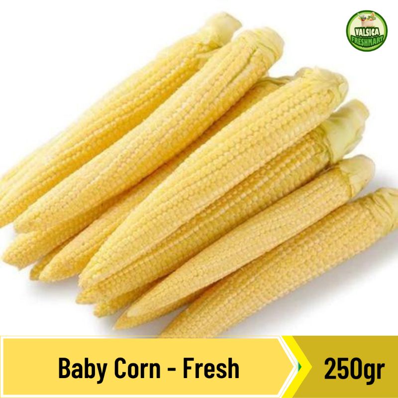 

Jagung Semi / Baby Corn - 250gr