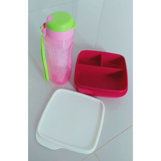 Tupperware eco lolly set