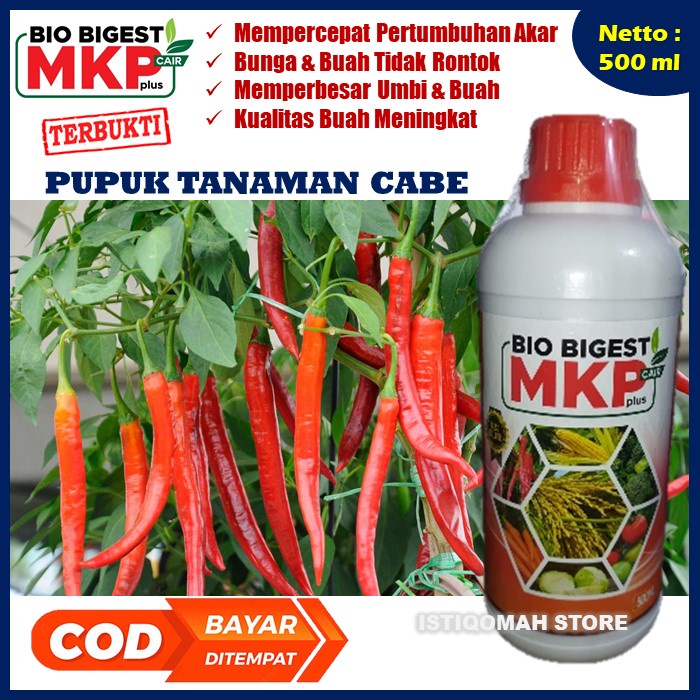 Pupuk Cabe Pelebat Buah dan Anti Rontok BIO BIGEST 500ML Pupuk Penyubur Daun dan Buah Cabe - Pupuk Organik Pemacu Cepat Berbuah Lebat Anti Rontok Tanaman Cabe - Pupuk Peninggi Pohon dan Pelebat Buah Pada Cabe Paling Ampuh