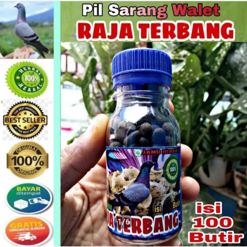 RAJA TERBANG JAMU MERPATI KOLONG LOSDOR 100 BUTIR Doping merpati tinggi manuver kolong los dor dopin