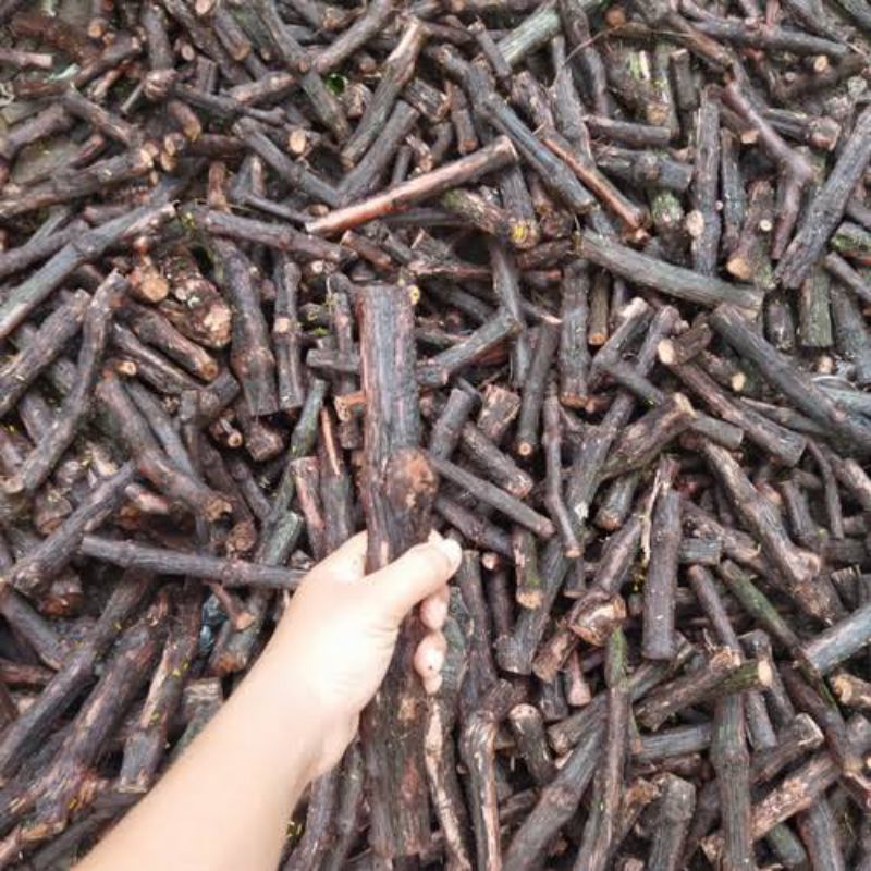 stek anggur import termurau