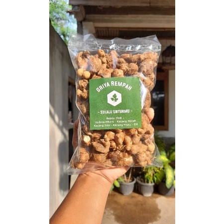 

READY STOK Kencur segar 500 gram kencur segar sudah bersih dari tanah