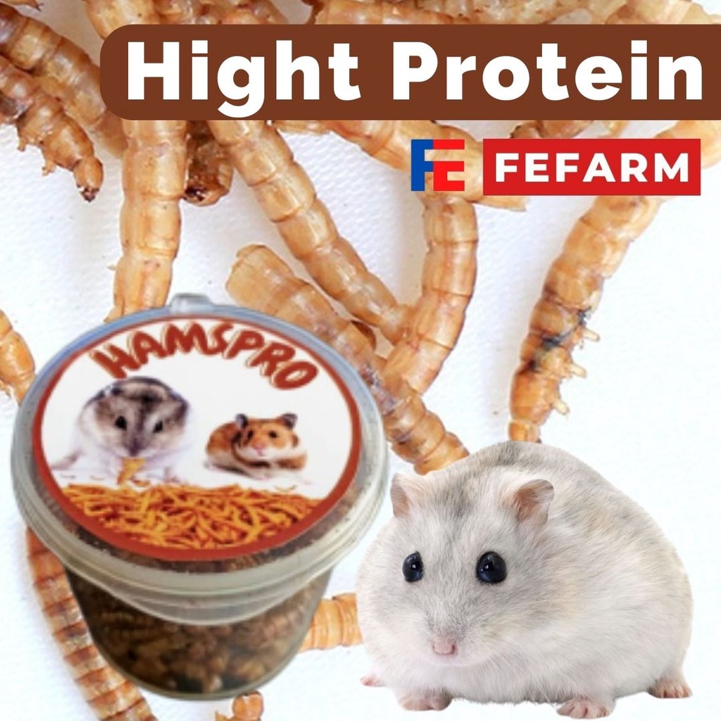 SEAFOOD HAMSTER ULAT HONGKONG JERMAN  PROTEIN TINGGI HAMSPRO FEFARM