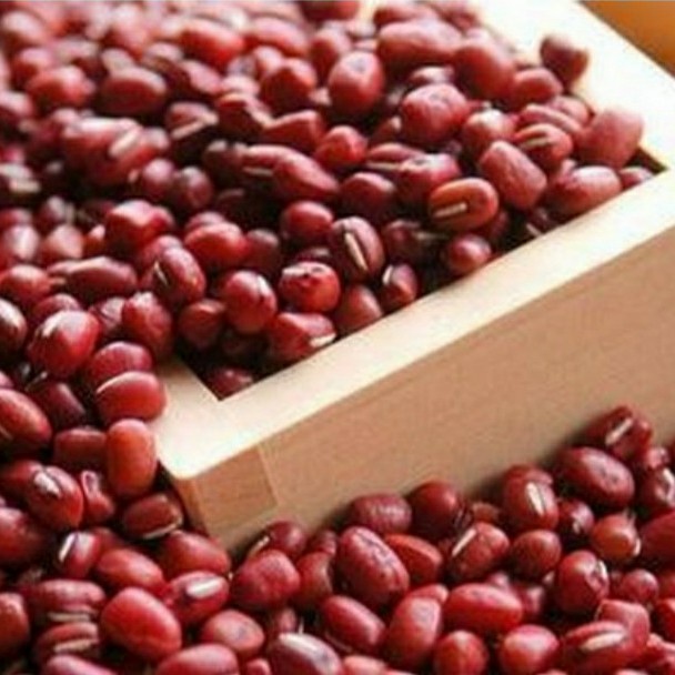 

Kacang Merah Jogo 250gr - 06