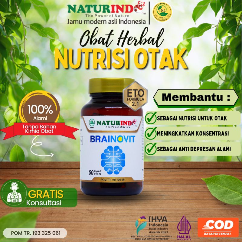 Nutrisi Otak Brainovit Vitamin Otak Anak Cerdas Vitamin Otak Vitamin Otak Anak Vitamin Obat Untuk An