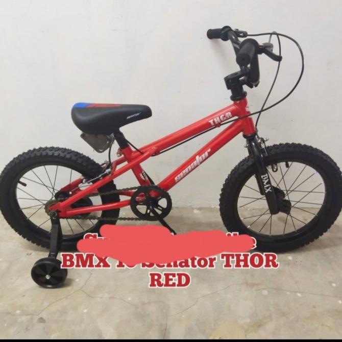 Sepeda Anak Bmx 16 Senator Thor New #Original
