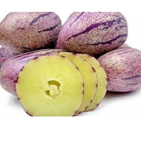 

BIG DISKON Buah Pepino Ungu Fresh 500 gram ♕ 888