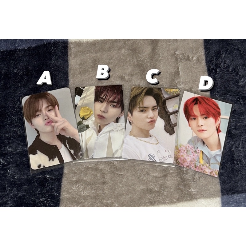 [READY STOCK] YOSHI Photocard Membkit / Photobook Blue (PB) / Pop Up Selca / Blooming