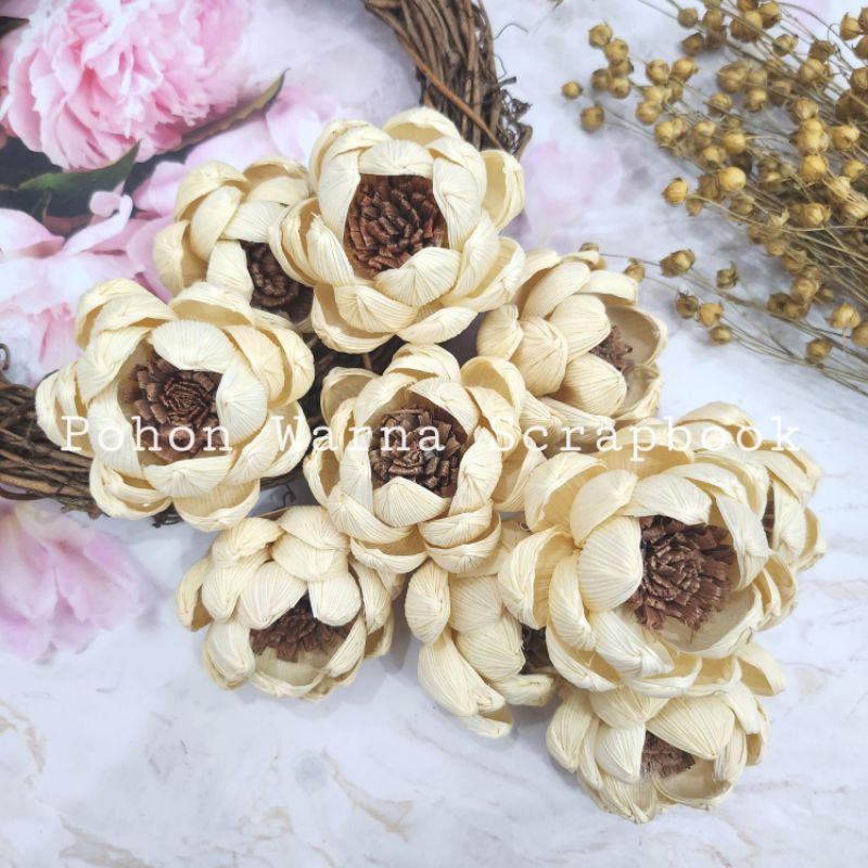 Bunga Klobot Jagung Teratai Kuncup