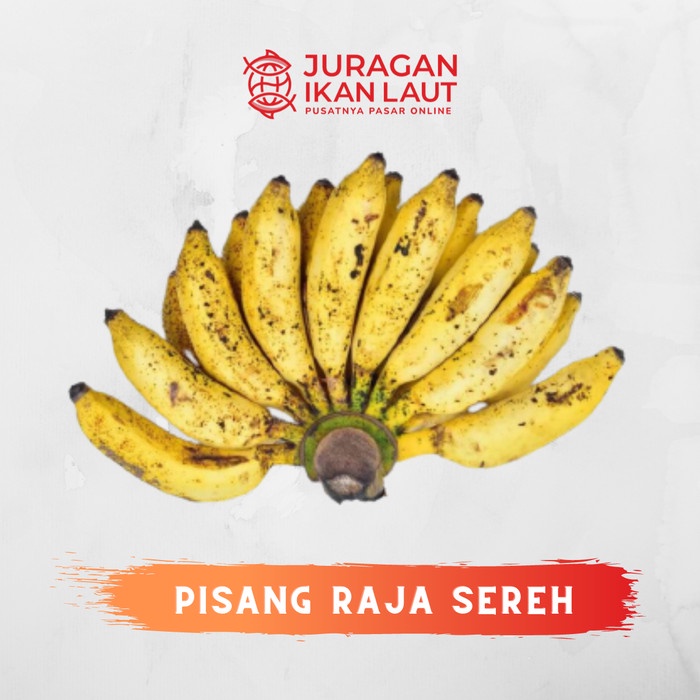 

Buah Pisang Raja Sereh Berkualitas - 1 Sisir