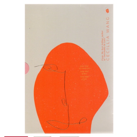 Novel  SOME KIND CECILLIA WANG