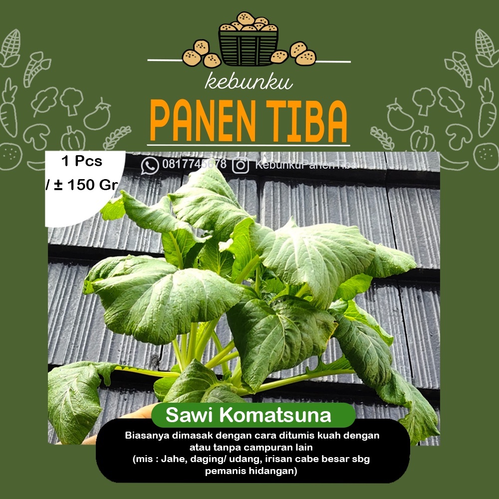 

Kebunku PANEN TIBA - Sawi Komatsuna Hydroponic 150Gr Sayur Buah Nutrisi Setiap Hari