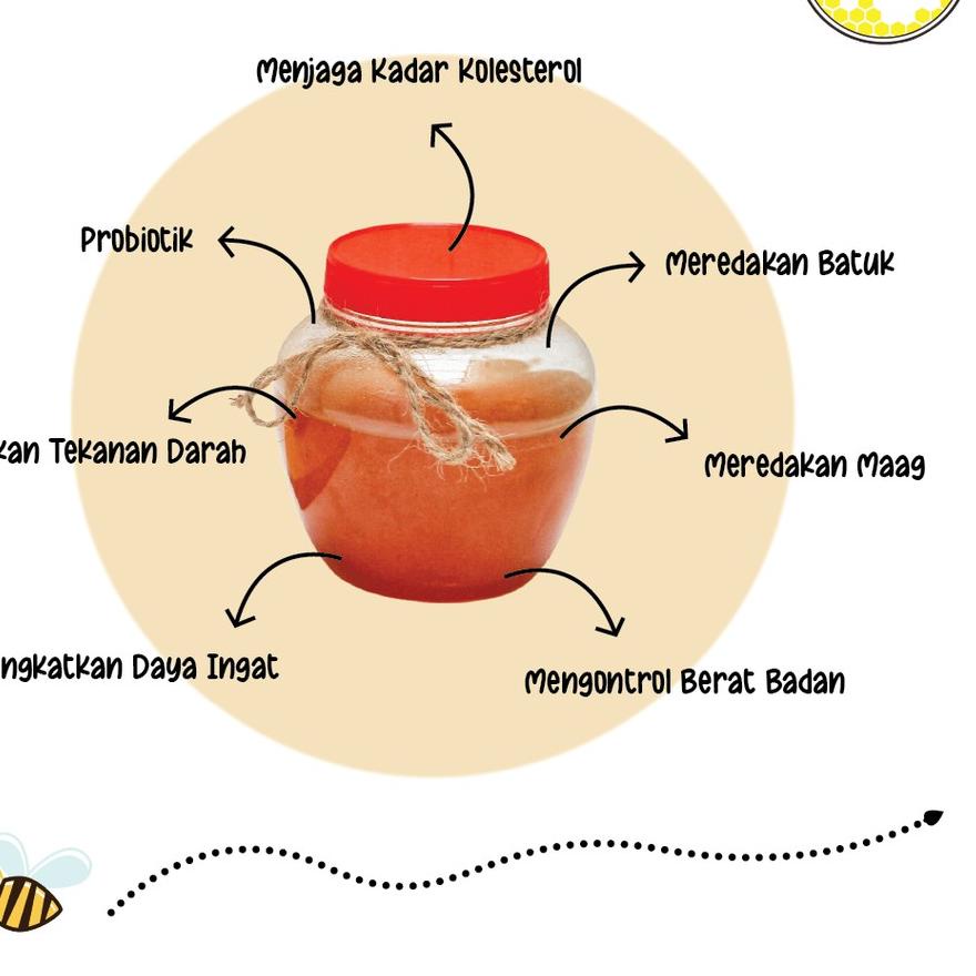 

BISA COD ✔️Madu Sarang Lebah Asli Comb honey murni 500g|KD9