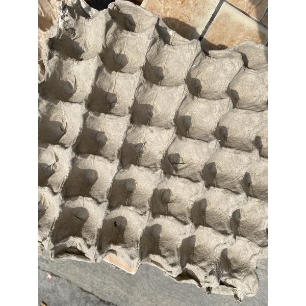 

Egg tray bekas perlembar - MURAH