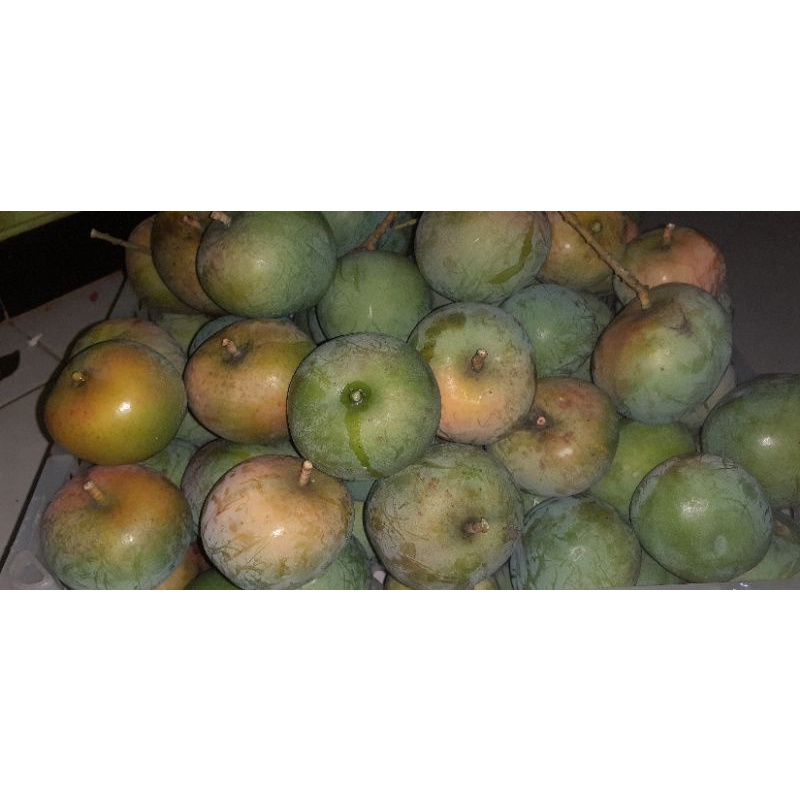 buah mangga apel matang 1 kg