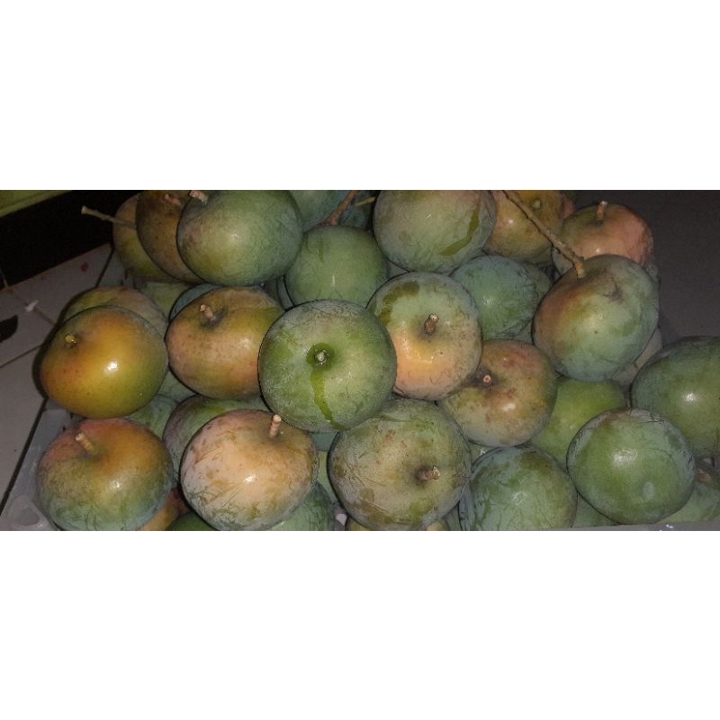 

buah mangga apel rujak/mangga apel mengkal fresh 1 kg