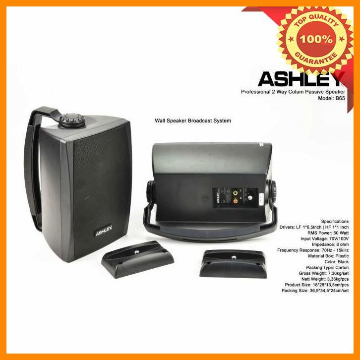 (BIL) 1 SET (2 PCS) SPEAKER PASIF ASHLEY B65 / SPEAKER MONITOR 6"