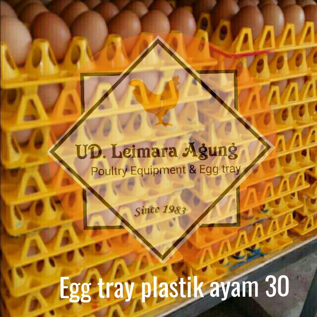 Egg tray plastik kuning