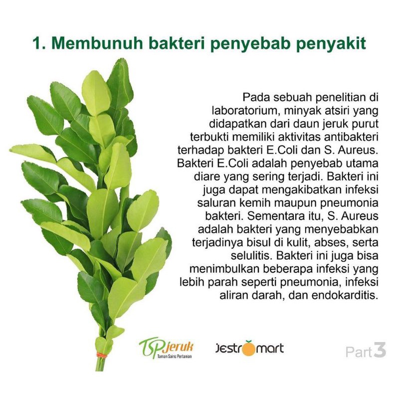 Daun Jeruk Purut Penyedap Alami Per Pack