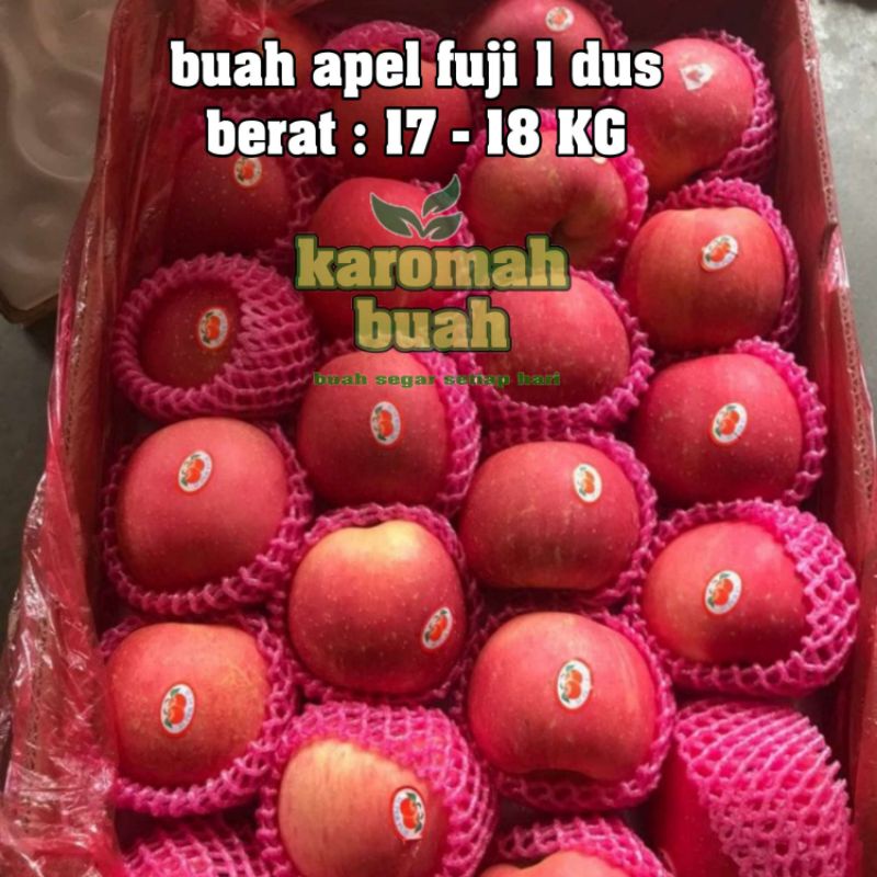 READY STOK buah apel fuji perdus 17 KG Fresh / apel fuji 1 dus / apel 1 dus / apel merah 1 karton / apel 1 karton