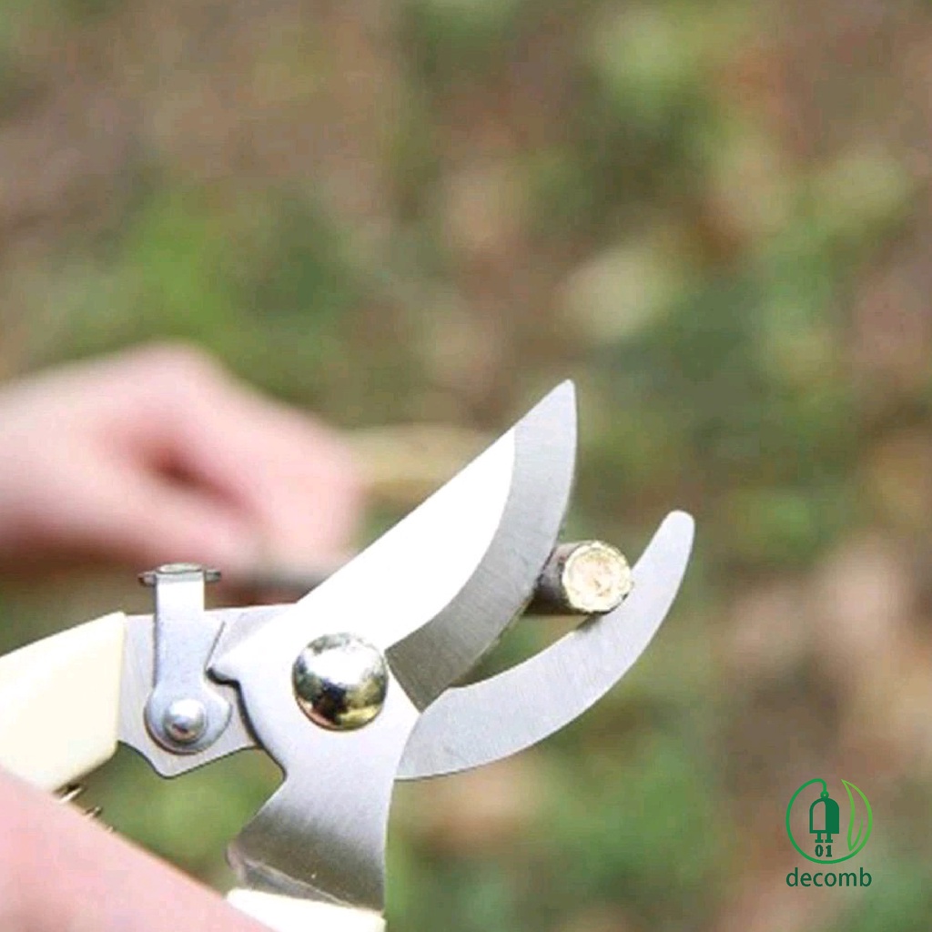 Gunting Ranting Pruning Tanaman Stainless Steel