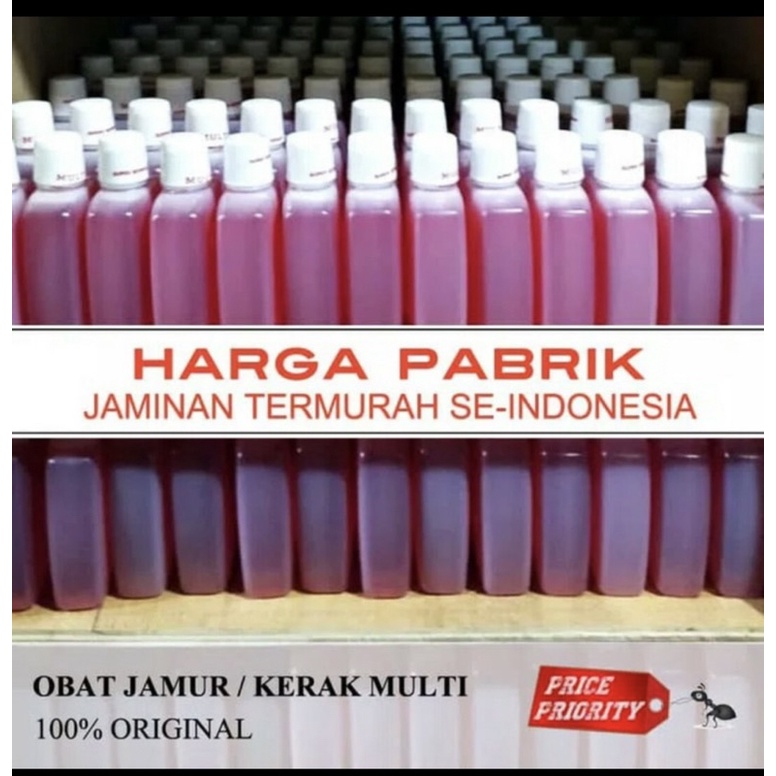Obat Pembersih Jamur Kaca Mobil Multi Ampuh