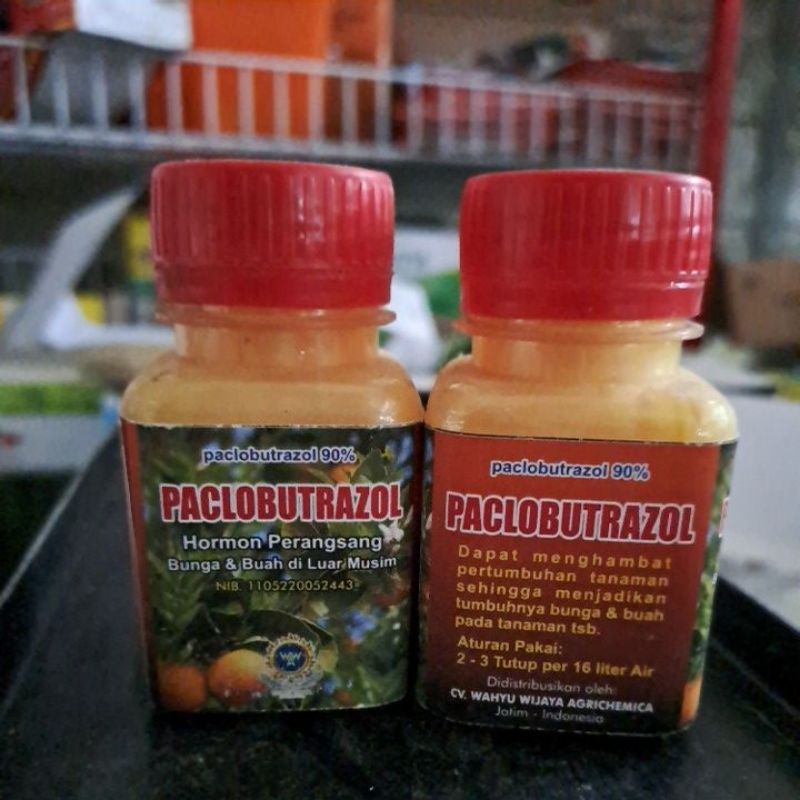 PACLOBUTRAZOL 90% PUPUK ZPT
