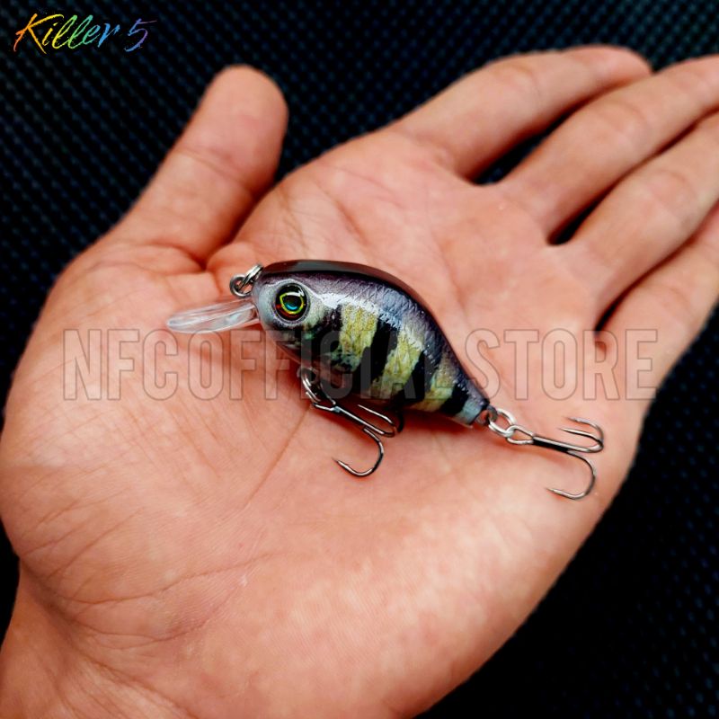 Crankbait 5,5 cm 8,5 gram Umpan casting kerapu Jaminan Action KILLER