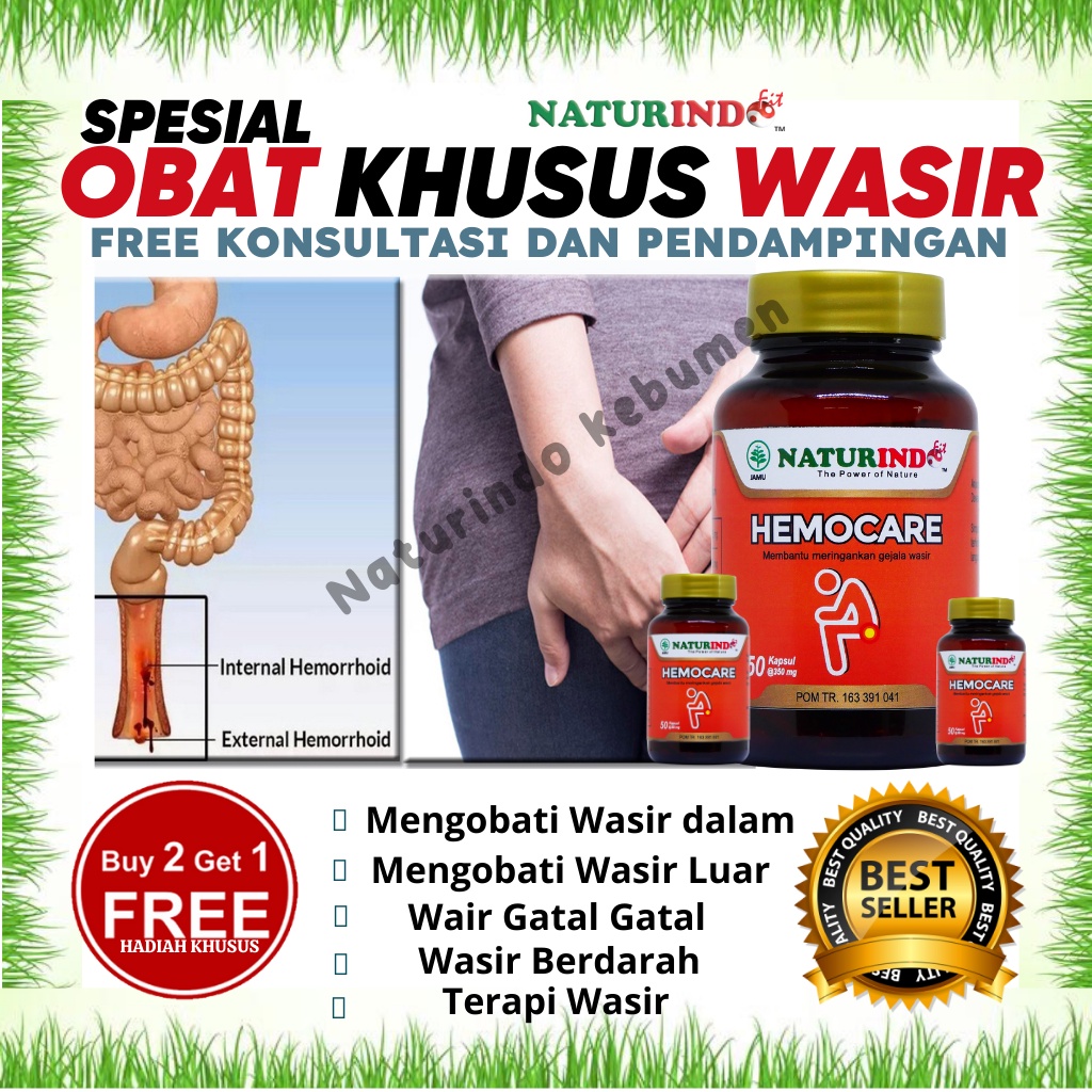 Obat Herbal Wasir Dalam Luar Bab Berdarah Gatal Gatal Hemocare Naturindo