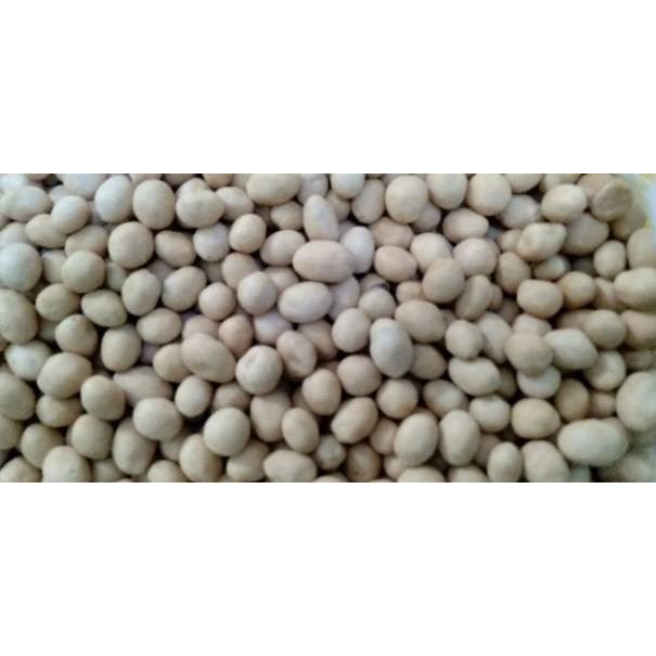 

⇇ KACANG ATOM/KACANG TELOR/KACANG OVEN 250 GRAM ね