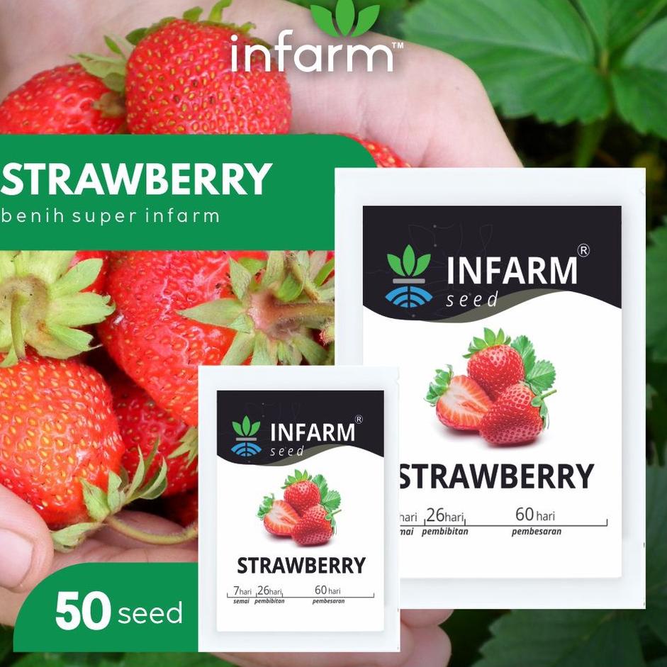 ➽ INFARM - Benih Bibit Biji Super Buah Strawberry Stroberi (Red Giant Fragaria Ananassa) ま
