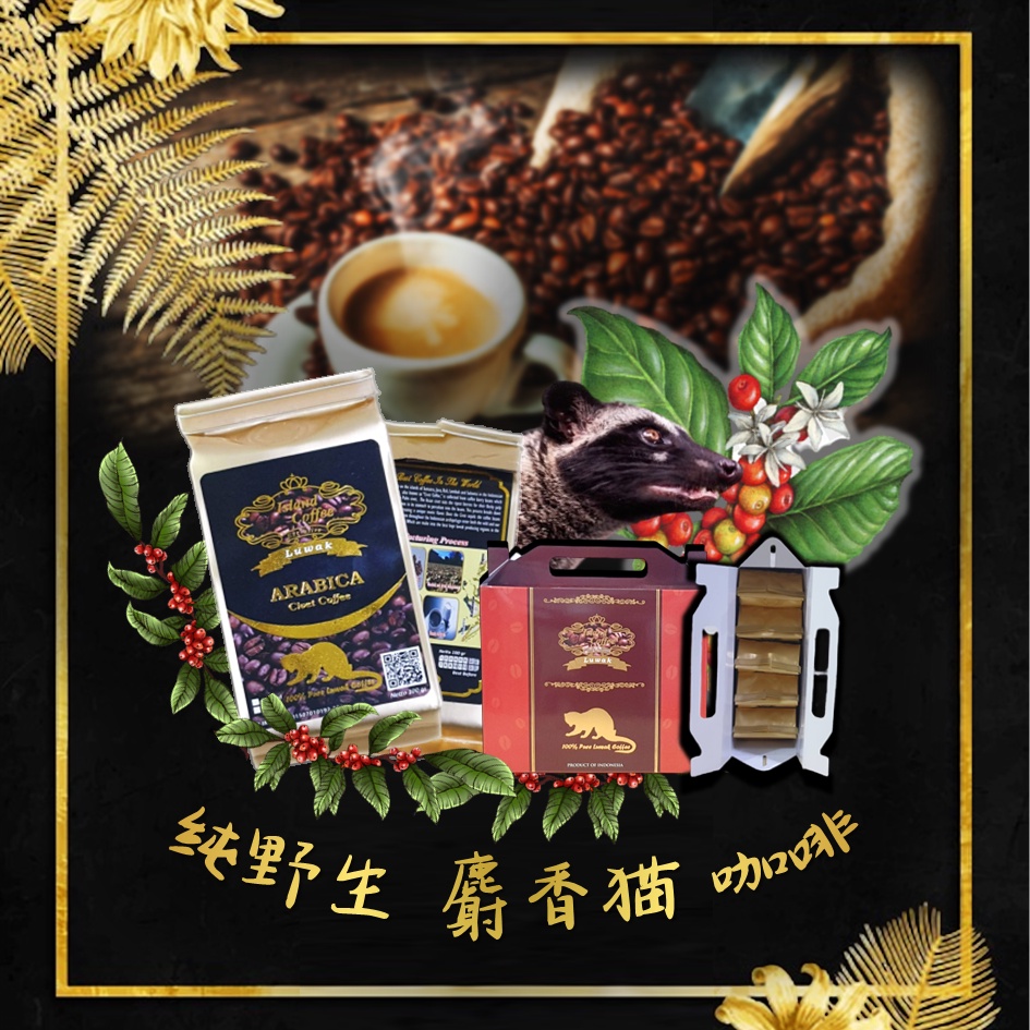 

I. Land Coffee Luwak 100% Authentic 正宗野生猫屎咖啡 / 印尼麝香猫咖啡