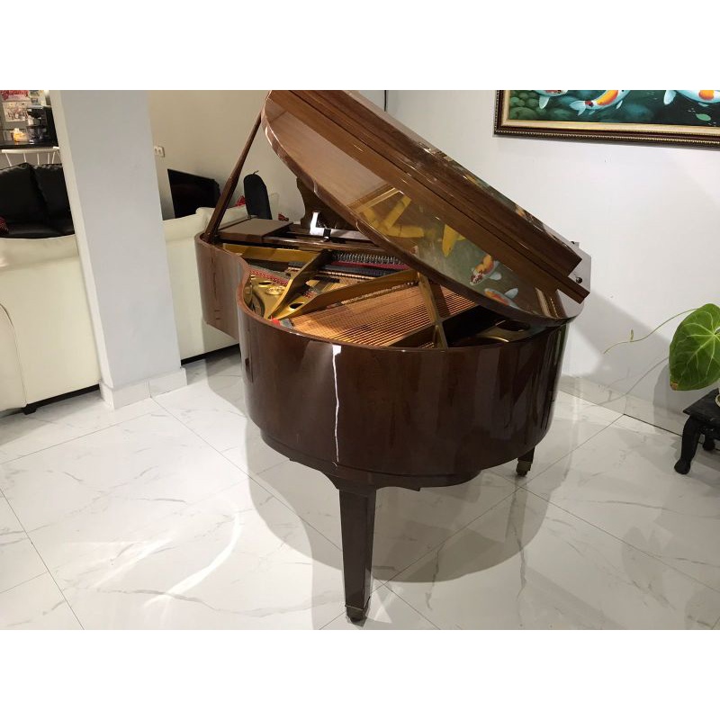 Grand Piano Ritmuller