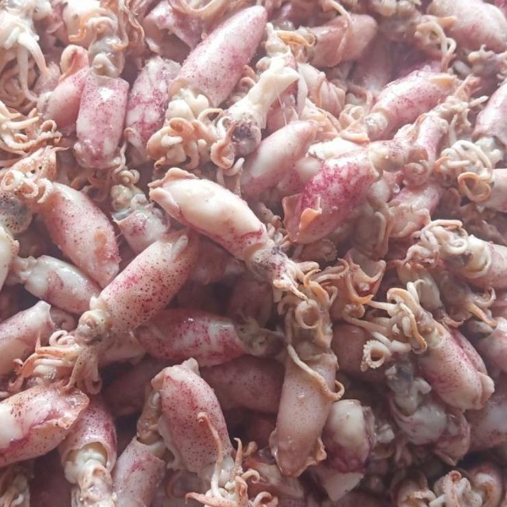 

Recomend - Ikan asin cumi Beby 500gr 1sampai 4cm/cumi asin baby /rebus/basa/cumi asin baby !