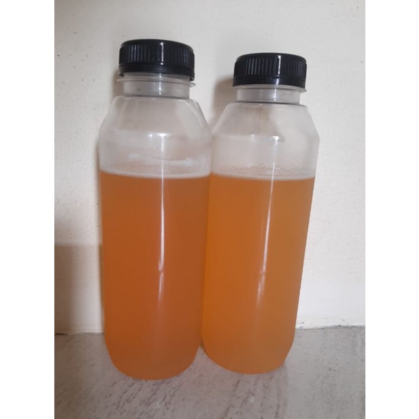 

Madu trigona (kelulut)