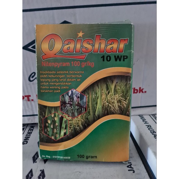 QAISHAR 100 GR