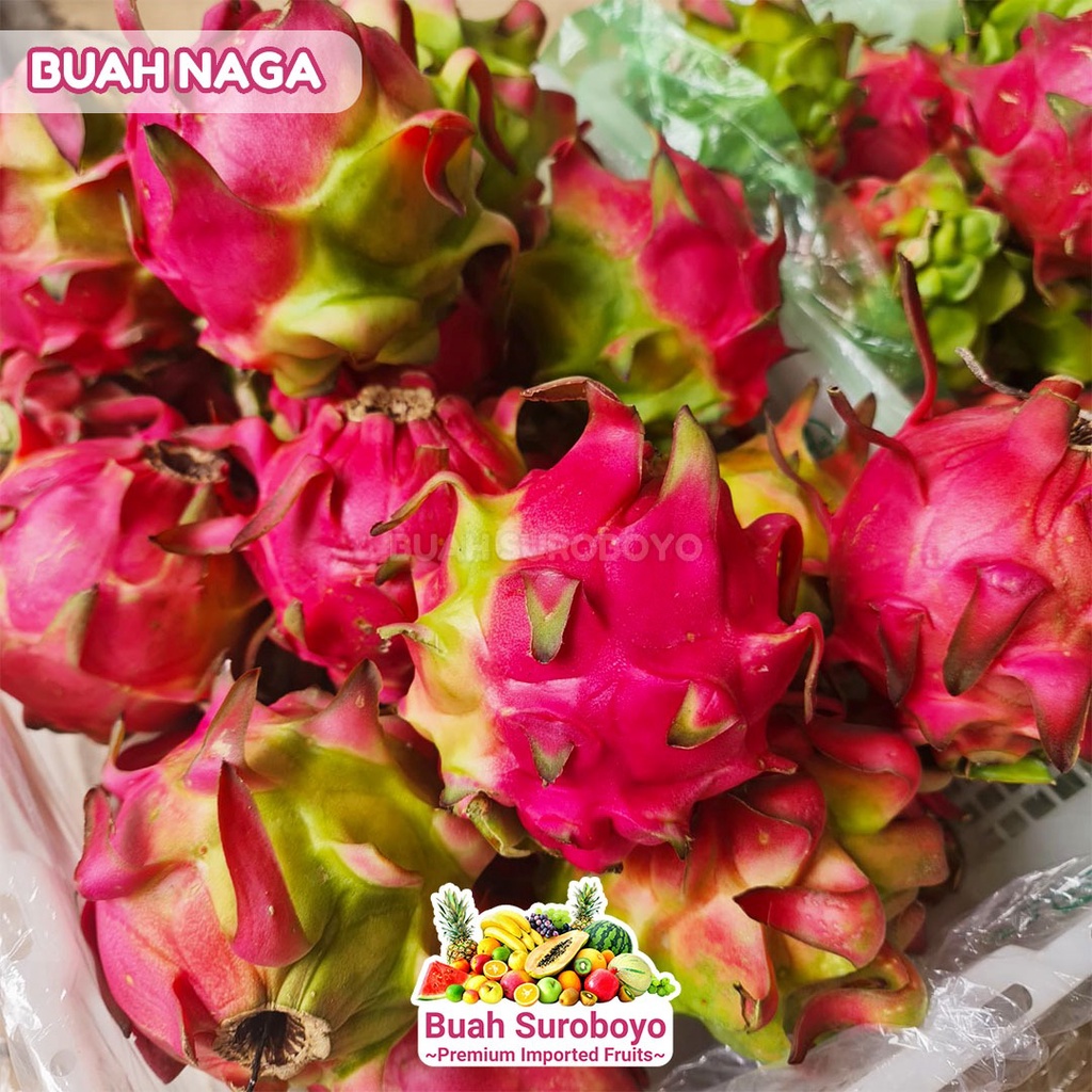 

Buah Naga Merah
