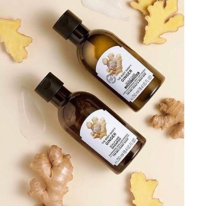 Model Baru マ The Body Shop Ginger Scalp Care Shampoo 400ml / Body Shop Shampoo