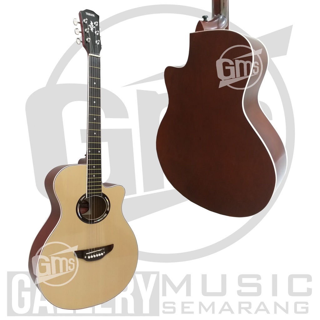 Gitar Akustik APX 500II Custom Standart Paket Super Komplit