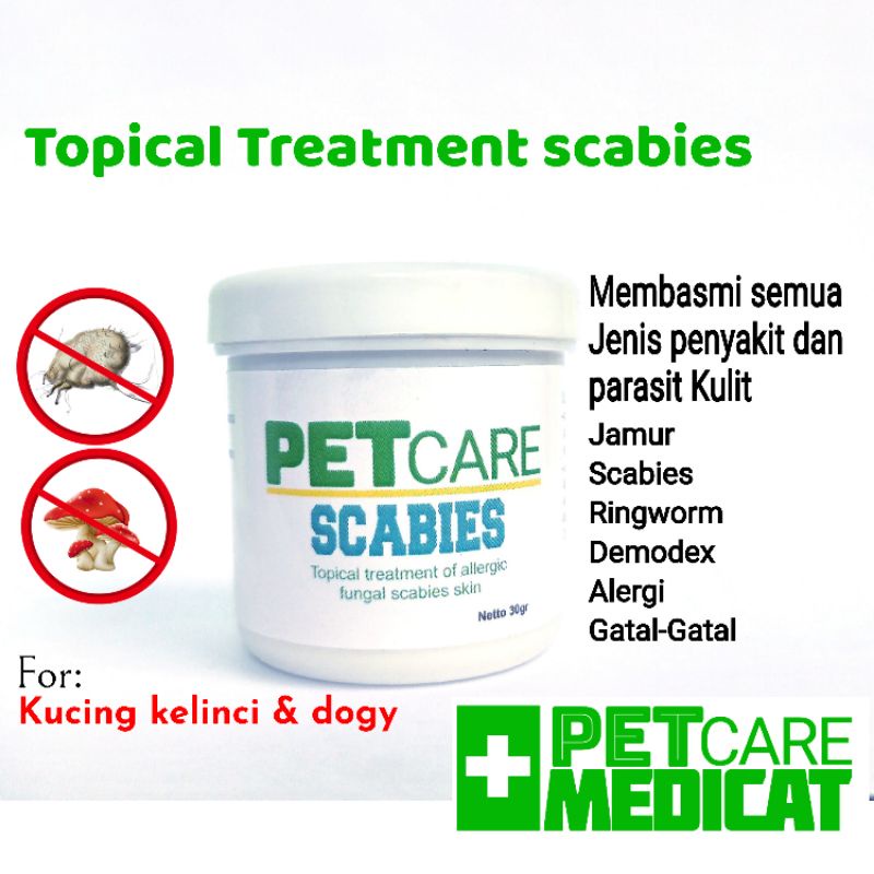 Obat jamur scabies kucing obat jamur kucing obat scabies kucing obat jamur kulit kucing